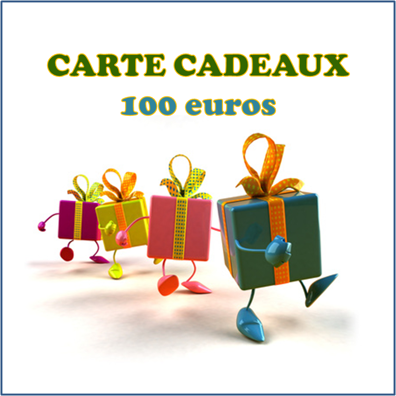 CARTE CADEAUX 100 Euros, Ant&Clem, Souliers pour Minots