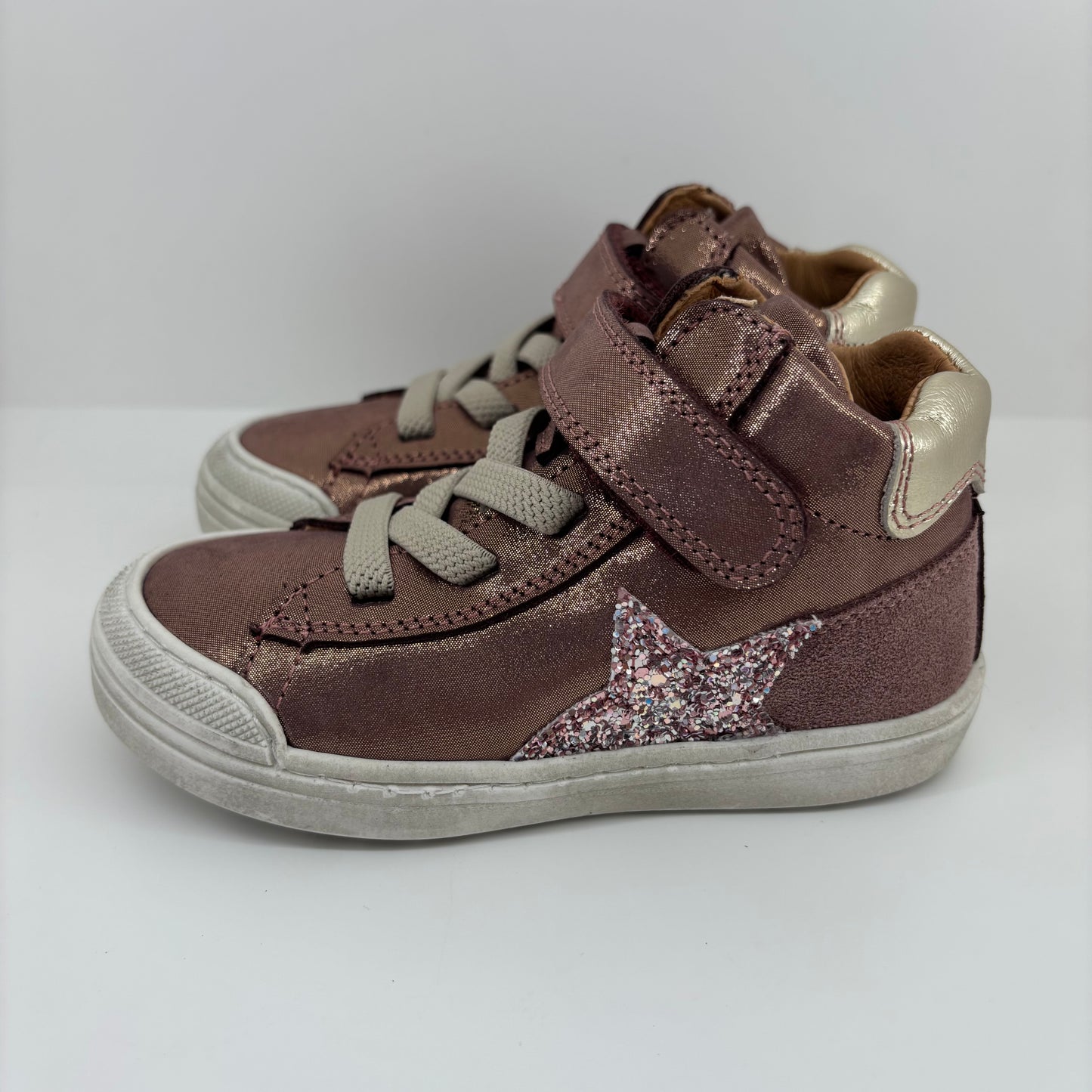 ASTER MONTANTES - FGE