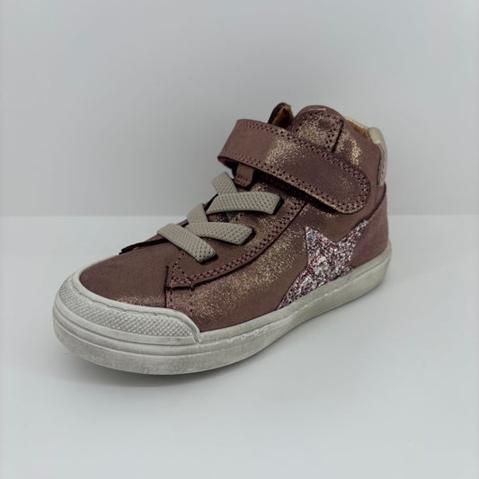 ASTER MONTANTES - FGE