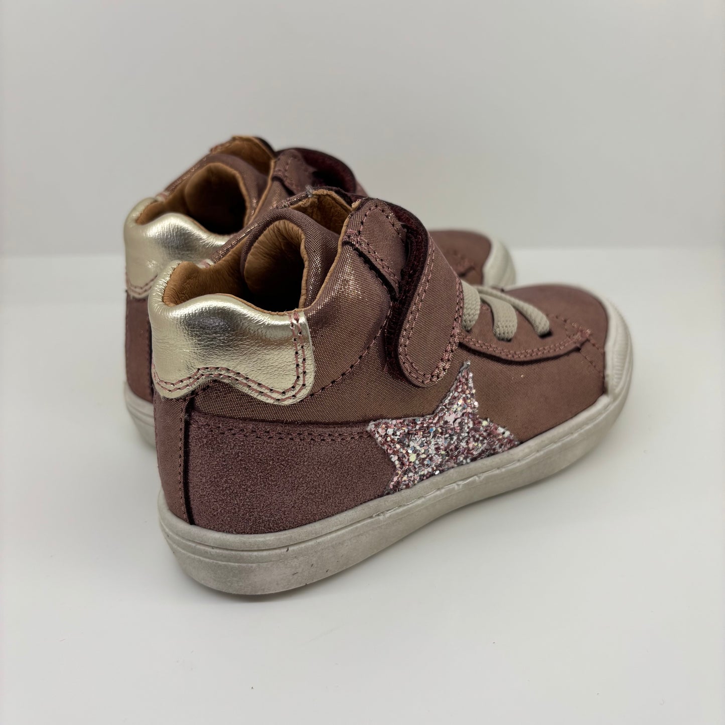 ASTER MONTANTES - FGE