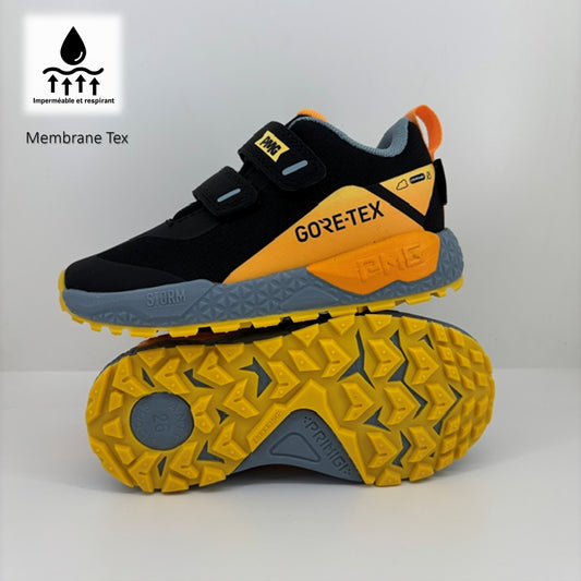 2419244 - GMEBasketGoreTex