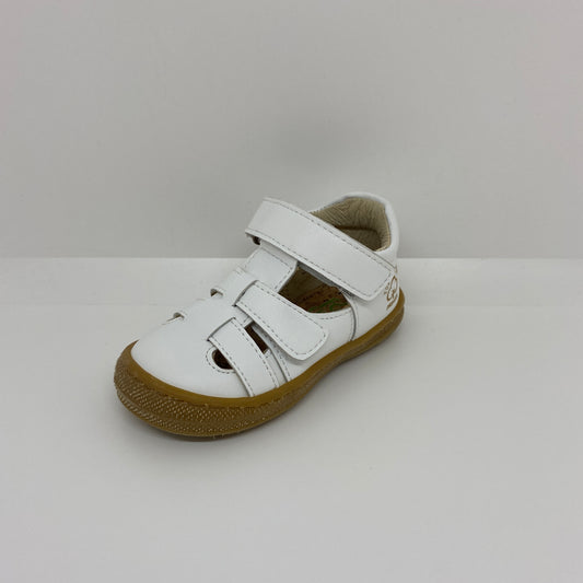 1901766 - FBBFlexEté